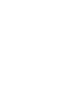 TheDayAds Logo